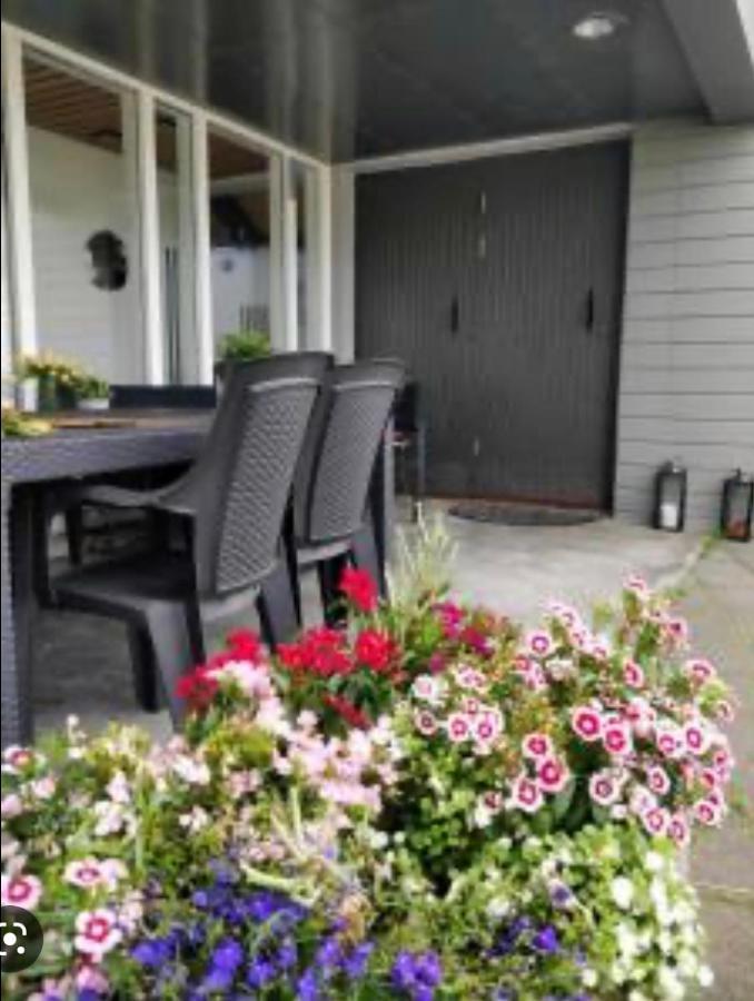 Godaland Guesthouse Hlitharendi Luaran gambar